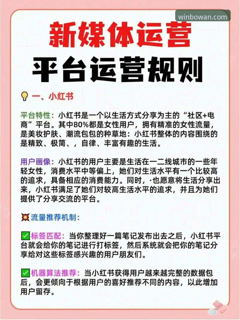 博万娱乐活动 5个关键步骤教你掌握博万娱乐活动的高效玩法,从下载到提现全解析