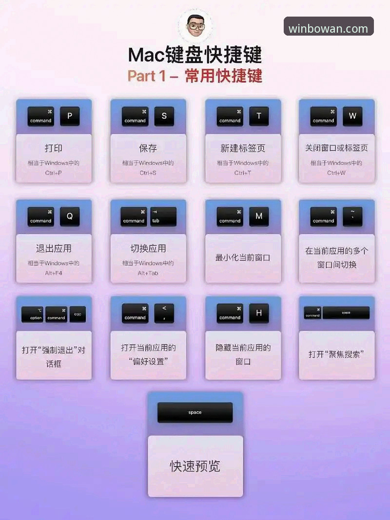 博万娱乐电脑版功能详解：如何最大化你的娱乐体验？